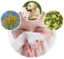 types-of-allergies